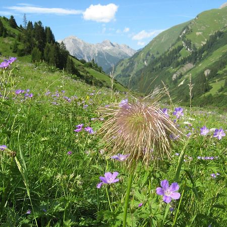 Ferienwohnungen Schlichtherle Bach  Luaran gambar