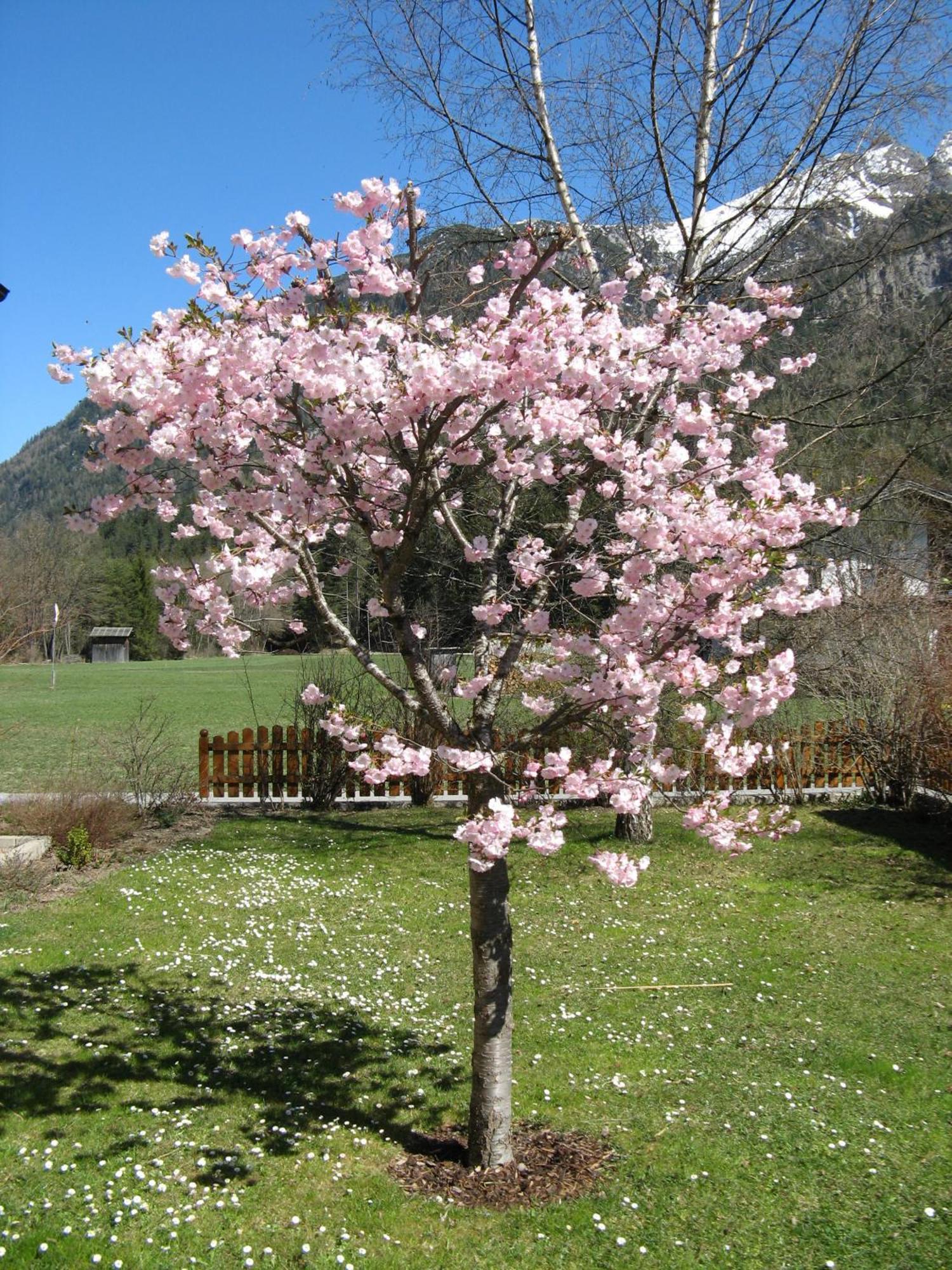 Ferienwohnungen Schlichtherle Bach  Luaran gambar